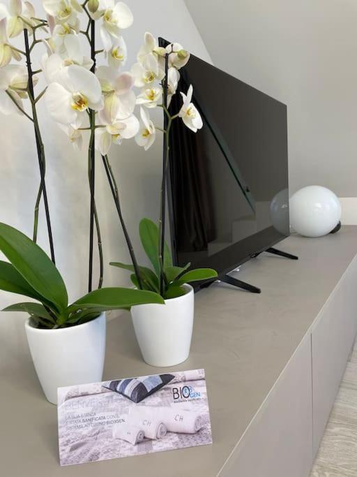 Queen Verona Luxury Apartment Exterior foto